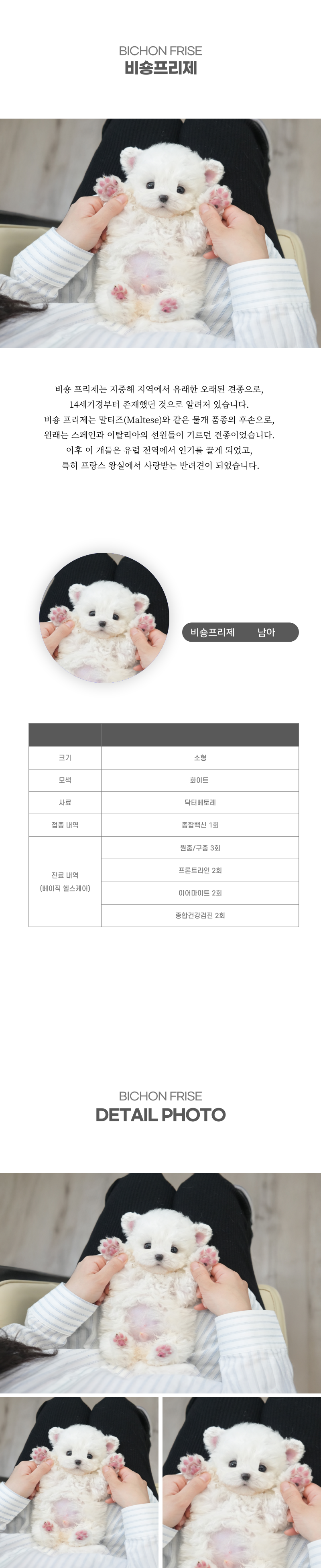 미니비숑_상세이미지_2